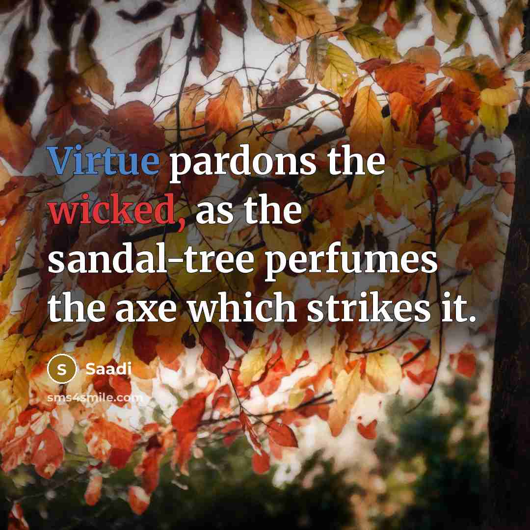 “Virtue pardons the wicked, as the sandal-tree perfumes the axe…” quote by Saadi