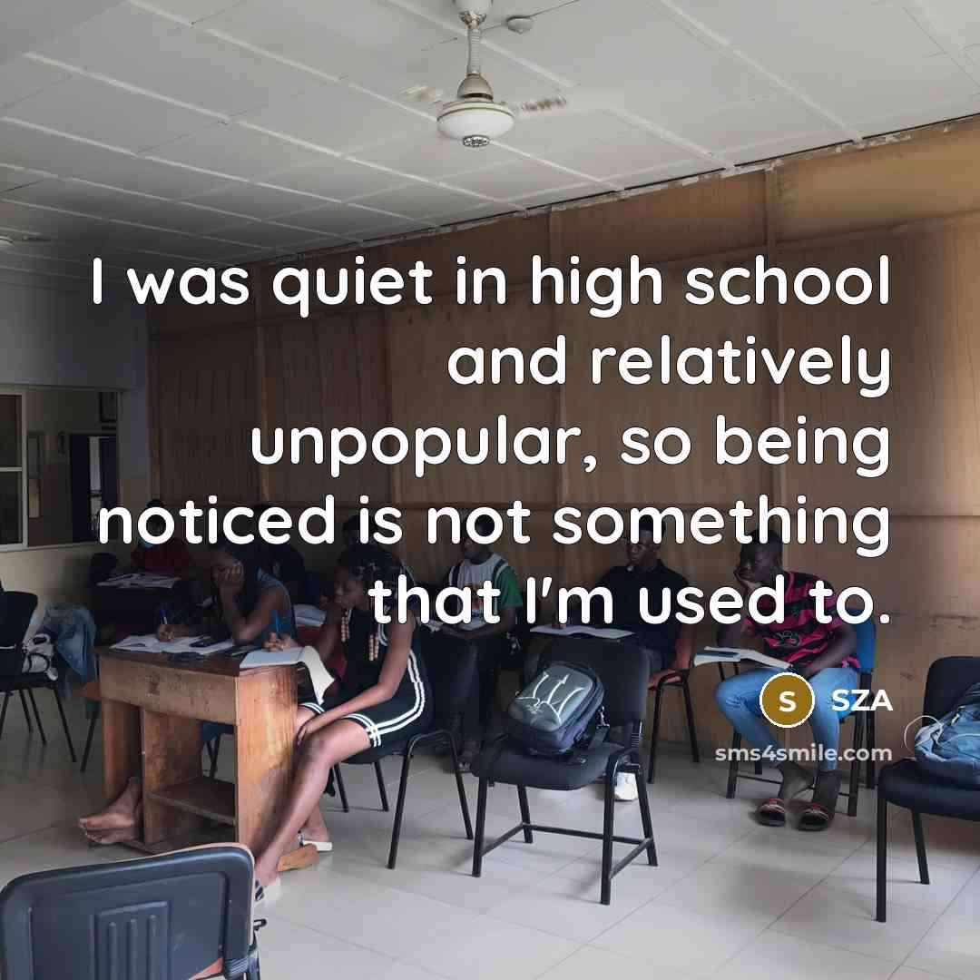 “I was quiet in high school and relatively unpopular, so…” quote by SZA
