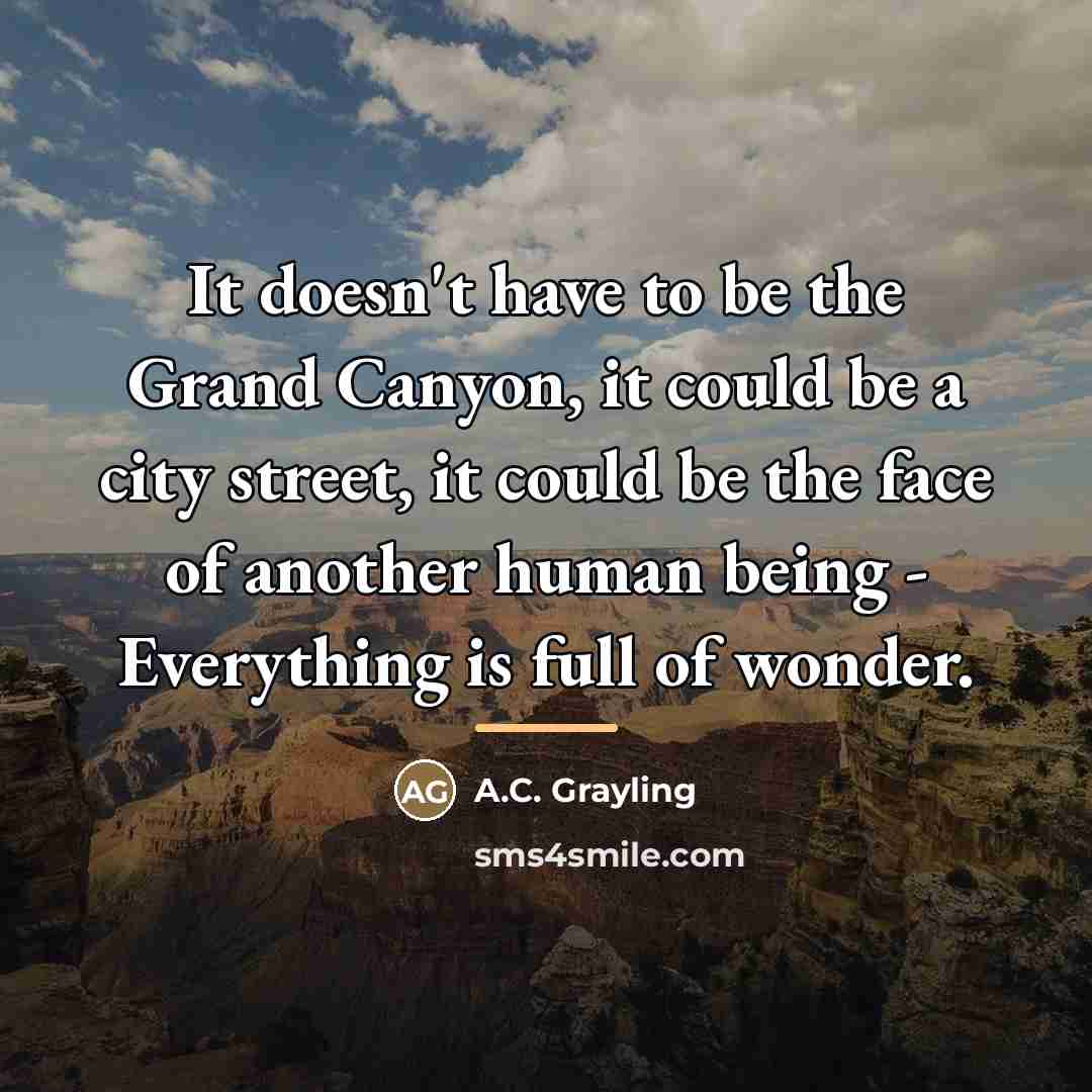 “It doesn't have to be the Grand Canyon, it could…” quote by A.C. Grayling