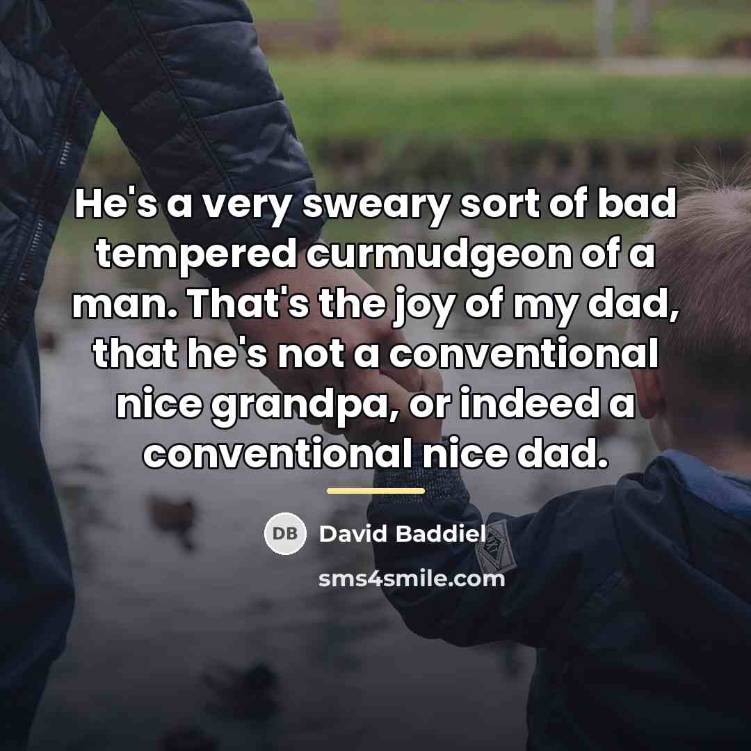 “He's a very sweary sort of bad tempered curmudgeon of…” quote by David Baddiel