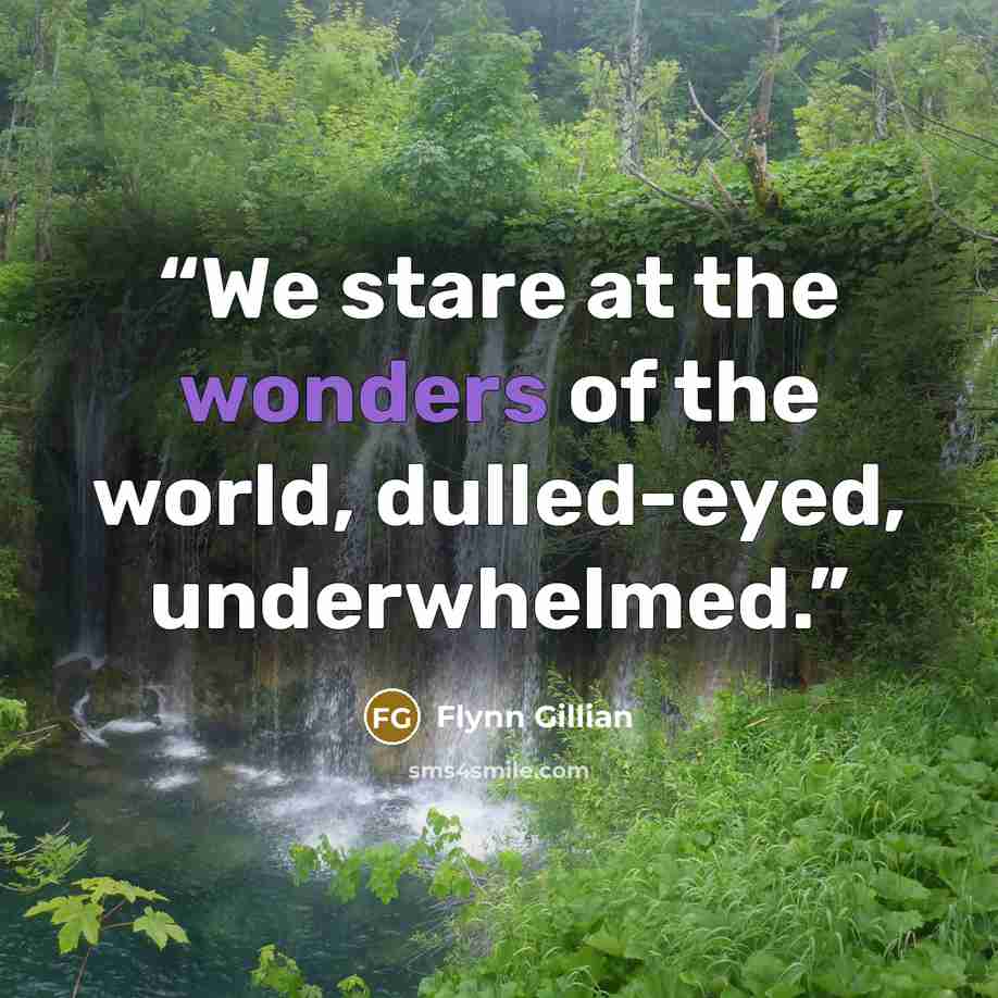 “We stare at the wonders of the world, dulled-eyed, underwhelmed.” quote by Flynn Gillian
