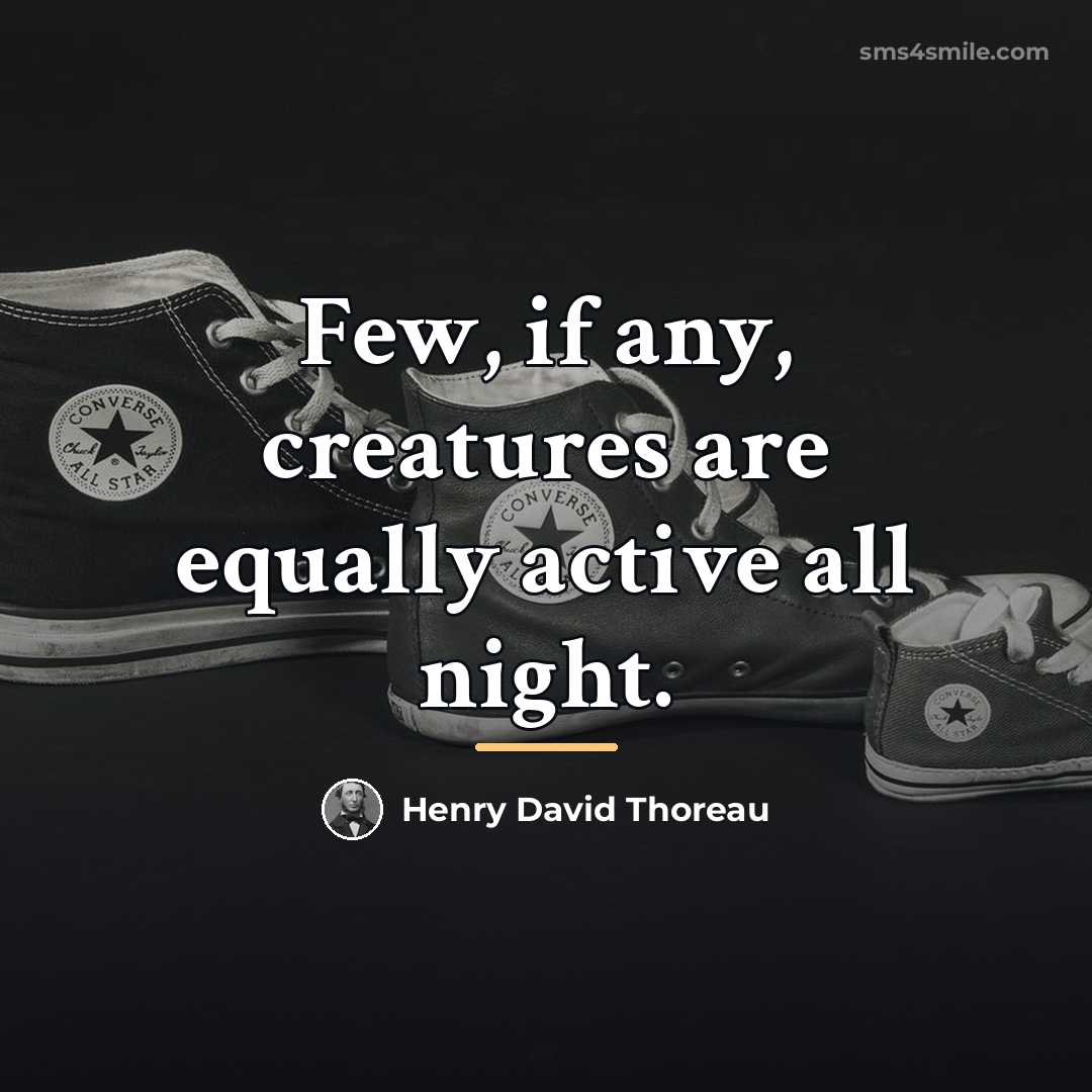 “Few, if any, creatures are equally active all night.…” quote by Henry David Thoreau