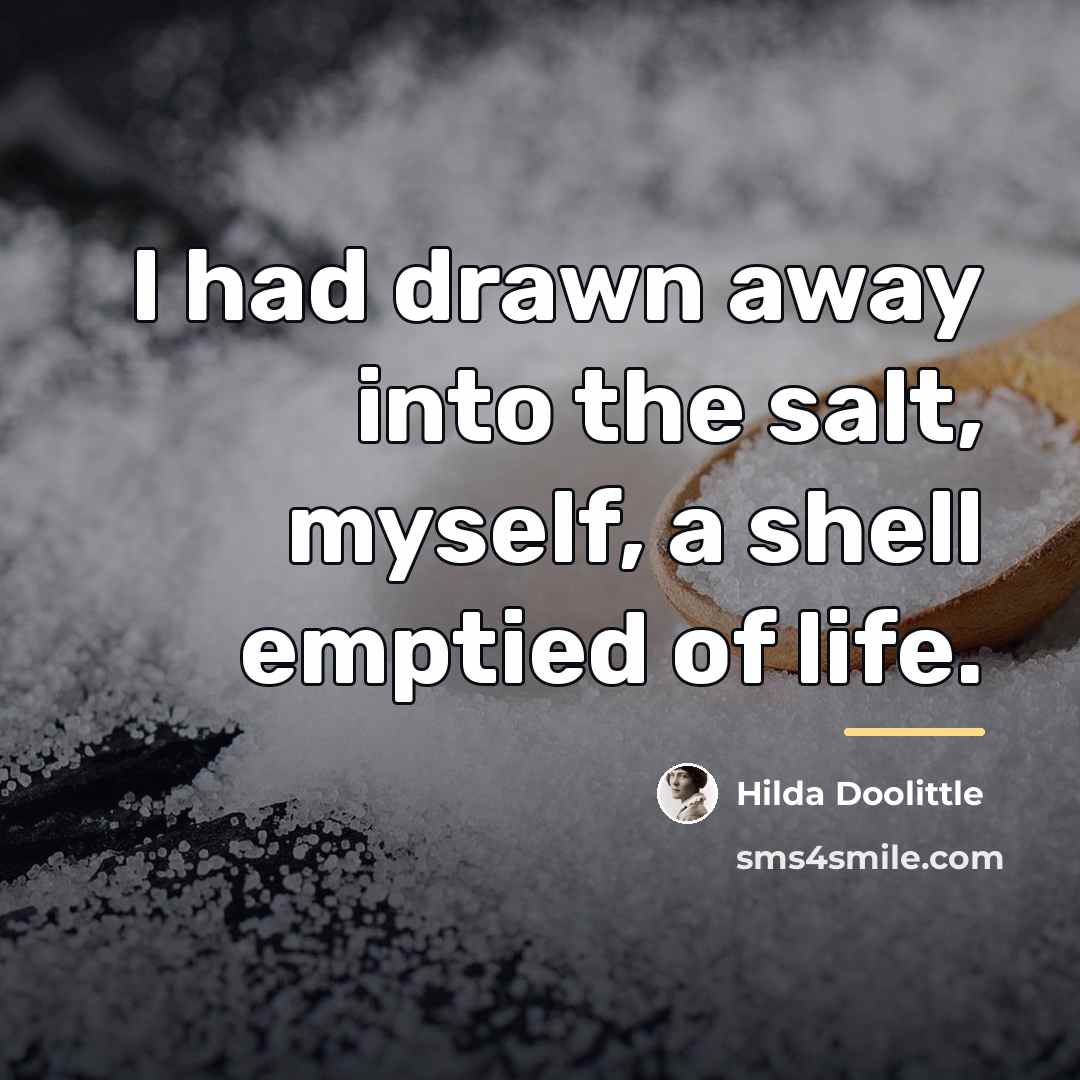 “I had drawn away into the salt, myself, a shell…” quote by Hilda Doolittle