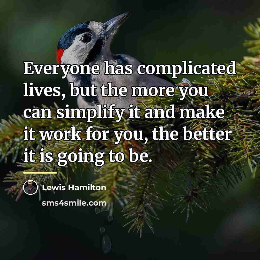 “Everyone has complicated lives, but the more you can simplify…” quote by Lewis Hamilton