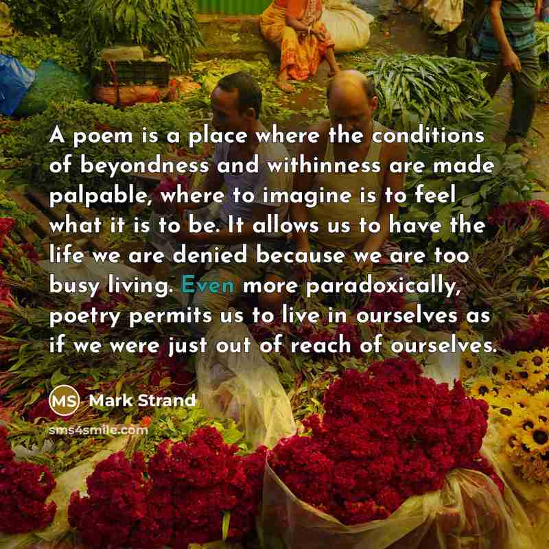 “A poem is a place where the conditions of beyondness…” quote by Mark Strand