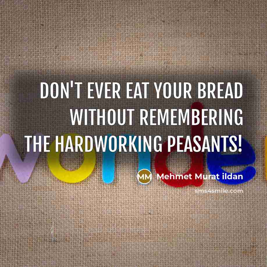 “Don't ever eat your bread without remembering the hardworking peasants!…” quote by Mehmet Murat Ildan