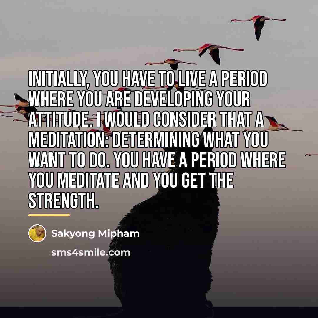 “Initially, you have to live a period where you are…” quote by Sakyong Mipham