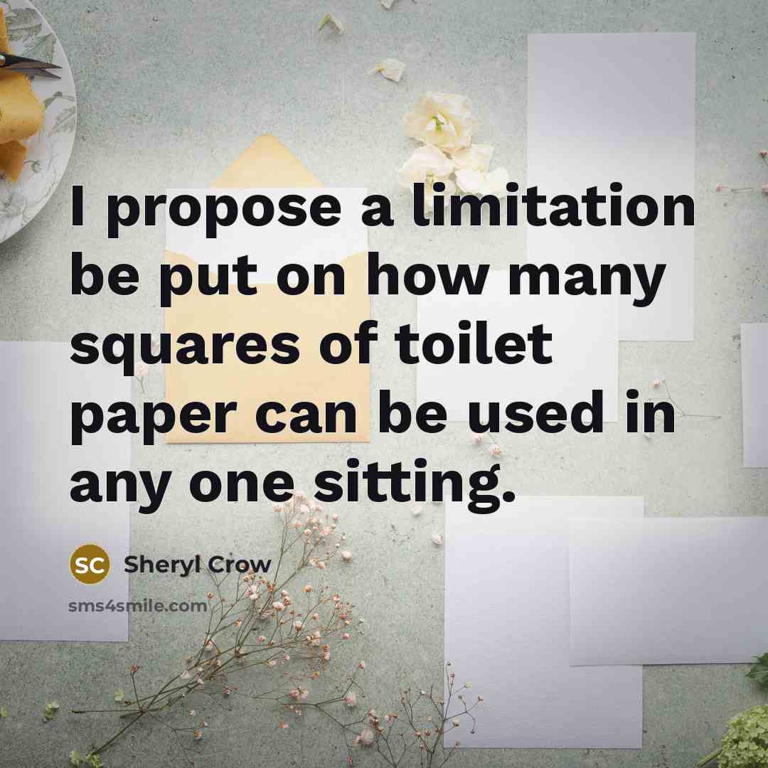“I propose a limitation be put on how many squares…” quote by Sheryl Crow