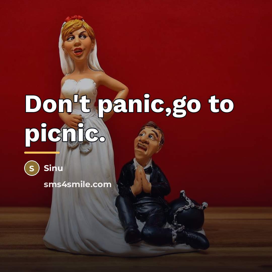 “Don't panic,go to picnic.…” quote by Sinu