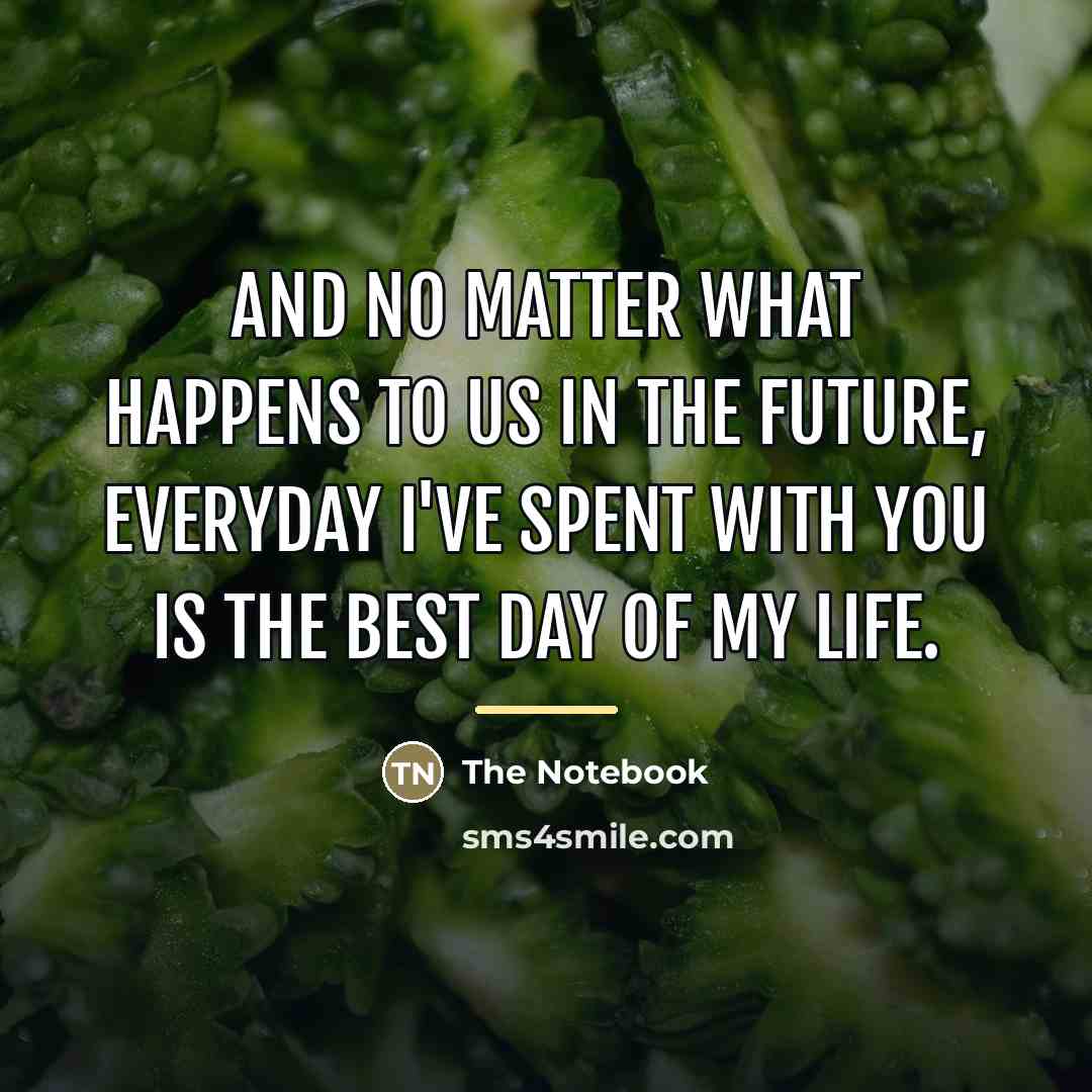“And no matter what happens to us in the future,…” quote by The Notebook