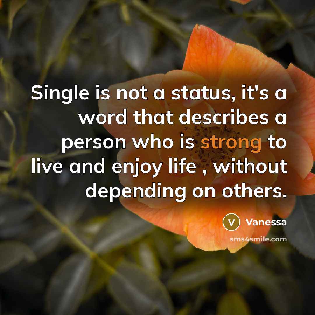 “Single is not a status, it's a word that describes…” quote by Vanessa