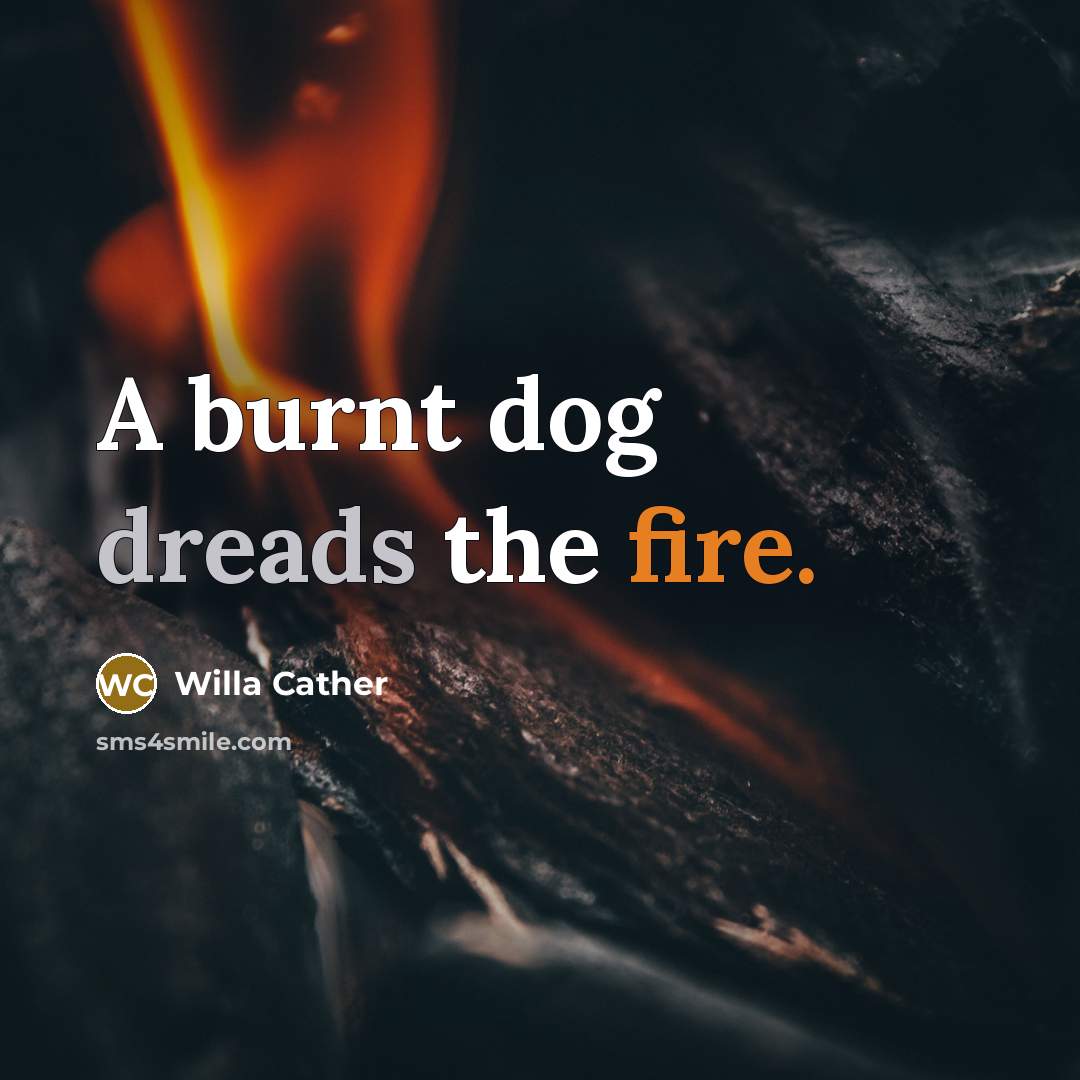 “A burnt dog dreads the fire.” quote by Willa Cather