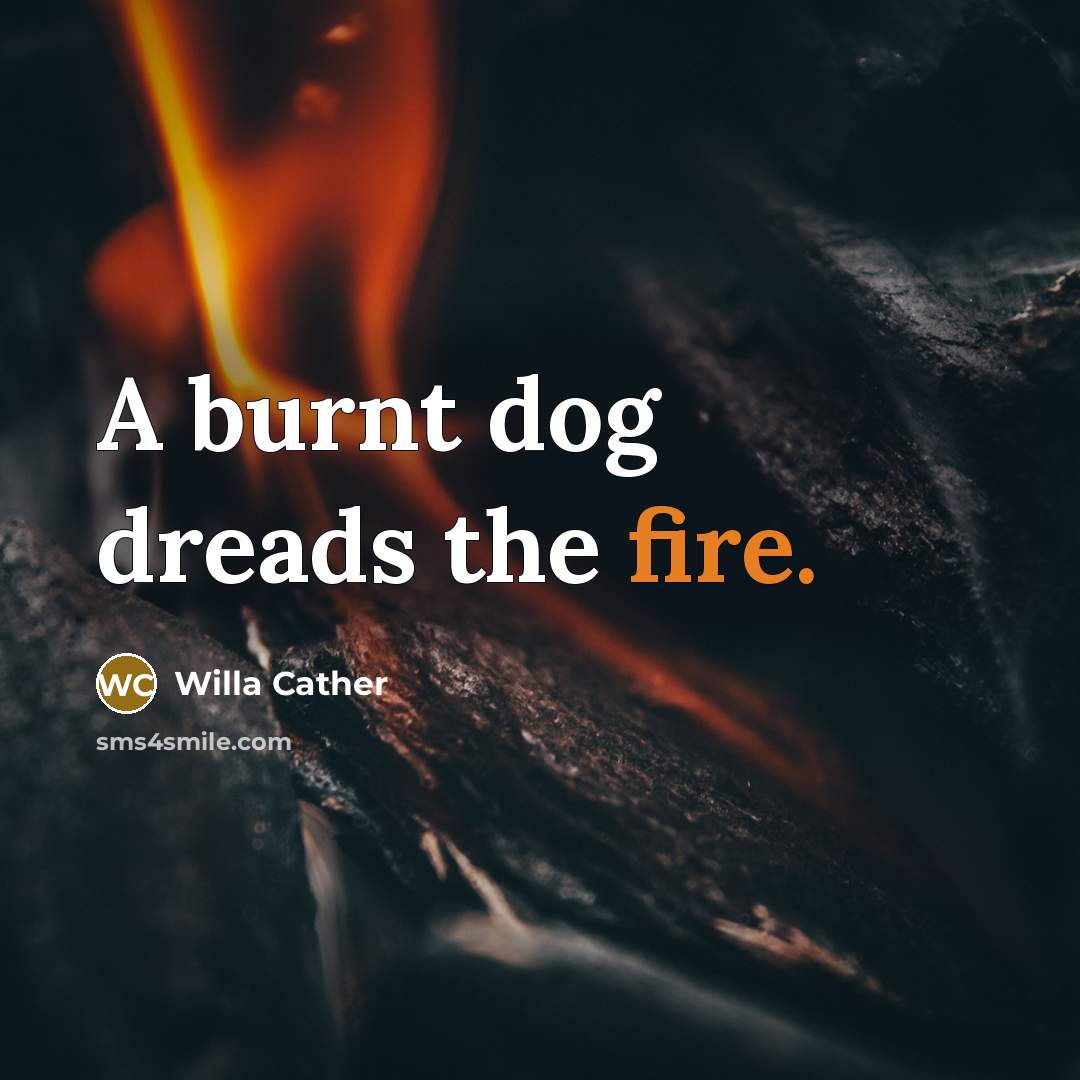 “A burnt dog dreads the fire.…” quote by Willa Cather