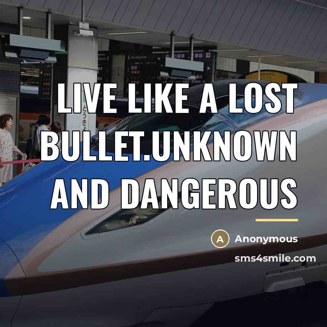 “LIve like a lost bullet.UNknown and DANGEROUS…” quote by Anonymous