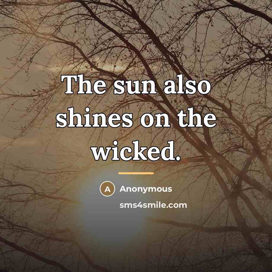 “The sun also shines on the wicked.…” quote by Anonymous