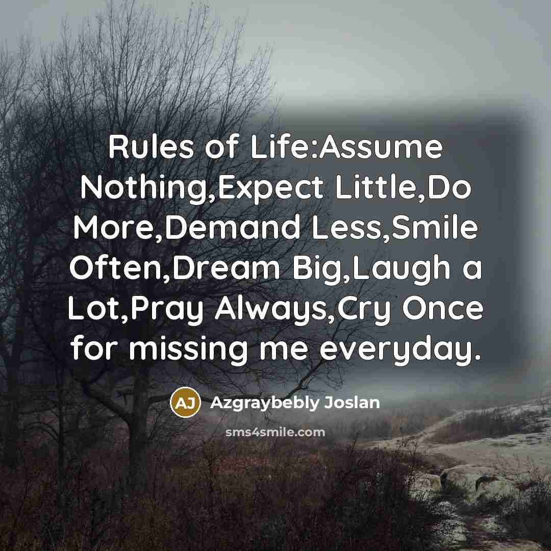 “Rules of Life:Assume Nothing,Expect Little,Do More,Demand Less,Smile Often,Dream Big,Laugh a…” quote by Azgraybebly Joslan