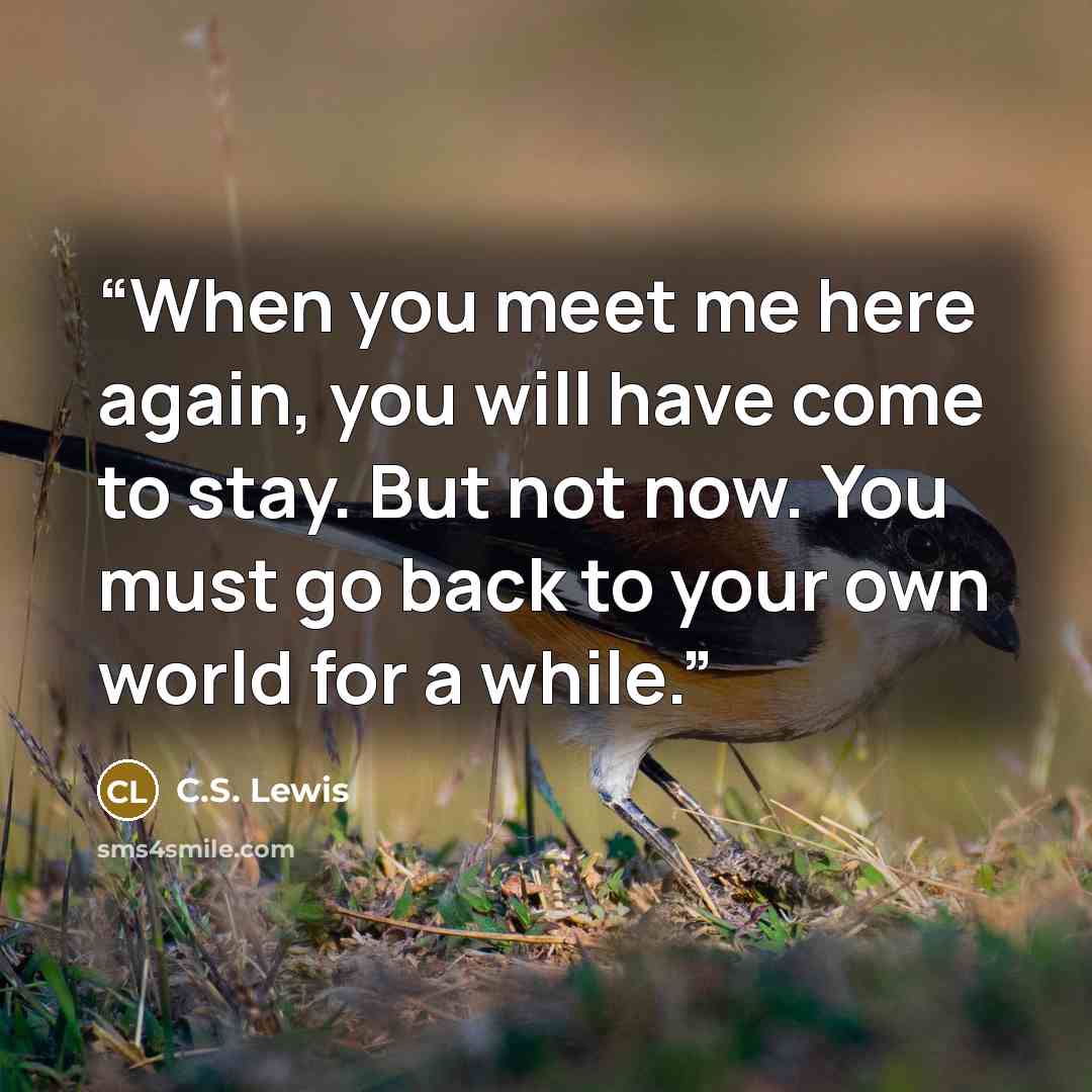 “When you meet me here again, you will have come to stay. But not now. You must go back to your own world for a while.” quote by C.S. Lewis