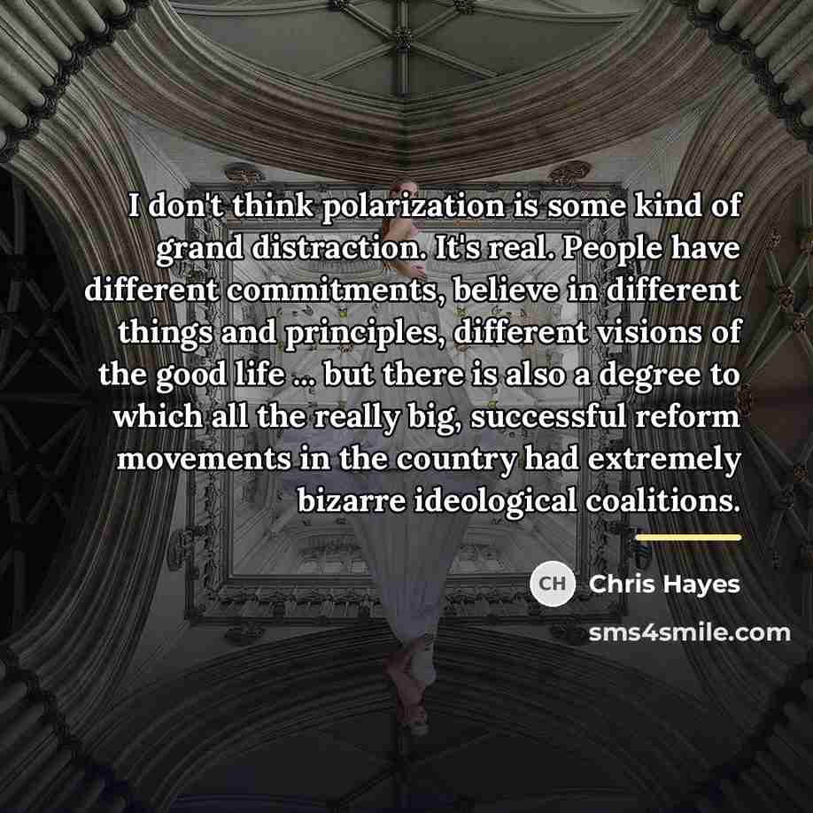 “I don't think polarization is some kind of grand distraction.…” quote by Chris Hayes