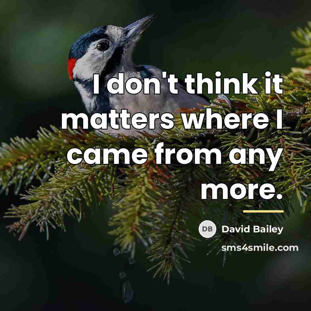 “I don't think it matters where I came from any…” quote by David Bailey