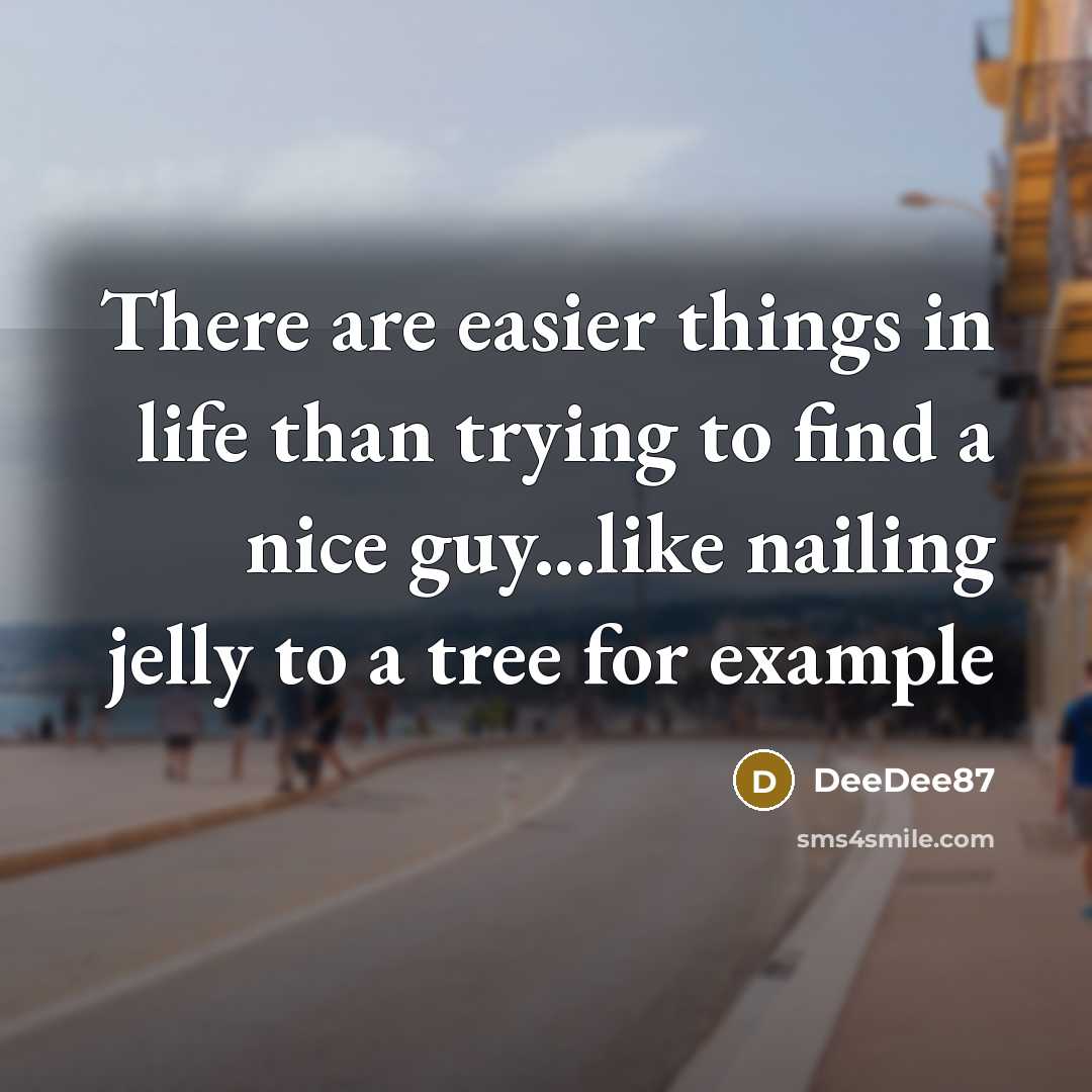 “There are easier things in life than trying to find a nice guy...like nailing jelly to a tree for example” quote by DeeDee87