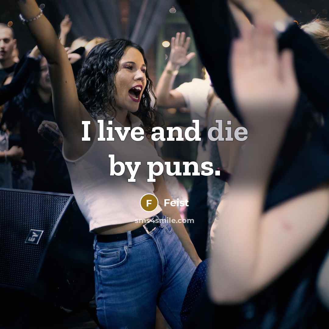 “I live and die by puns.…” quote by Feist