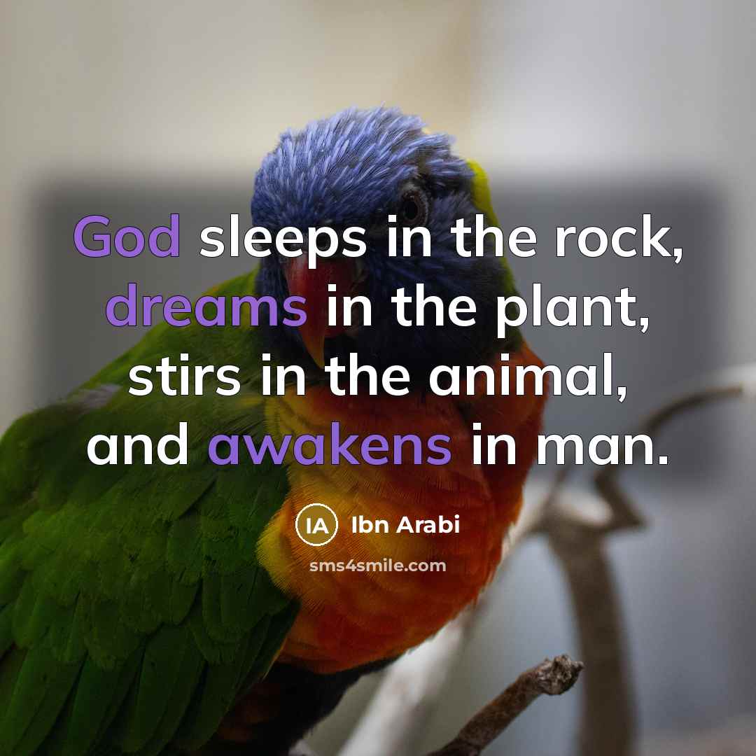 “God sleeps in the rock, dreams in the plant, stirs…” quote by Ibn Arabi