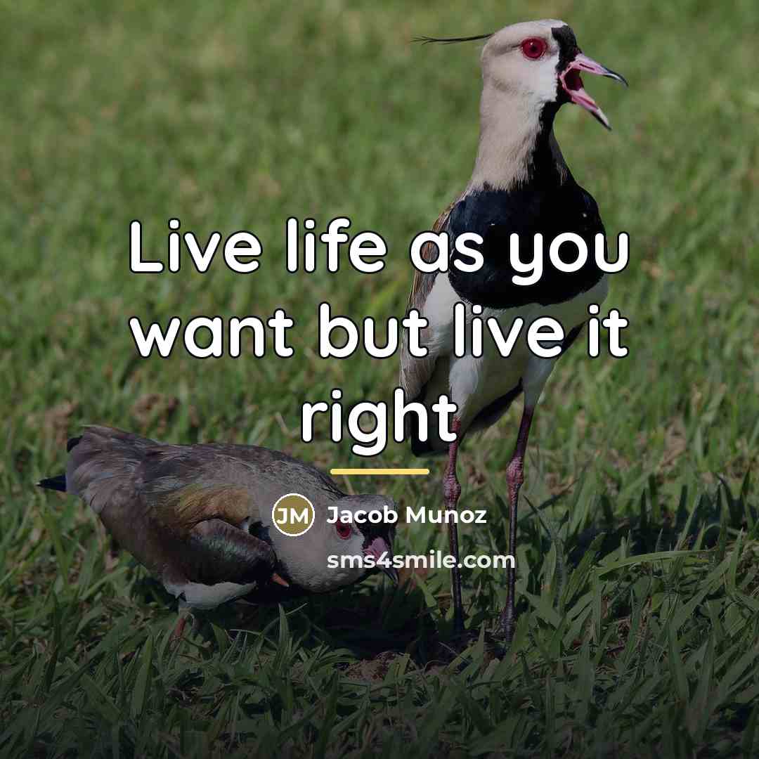 “Live life as you want but live it right…” quote by Jacob Munoz