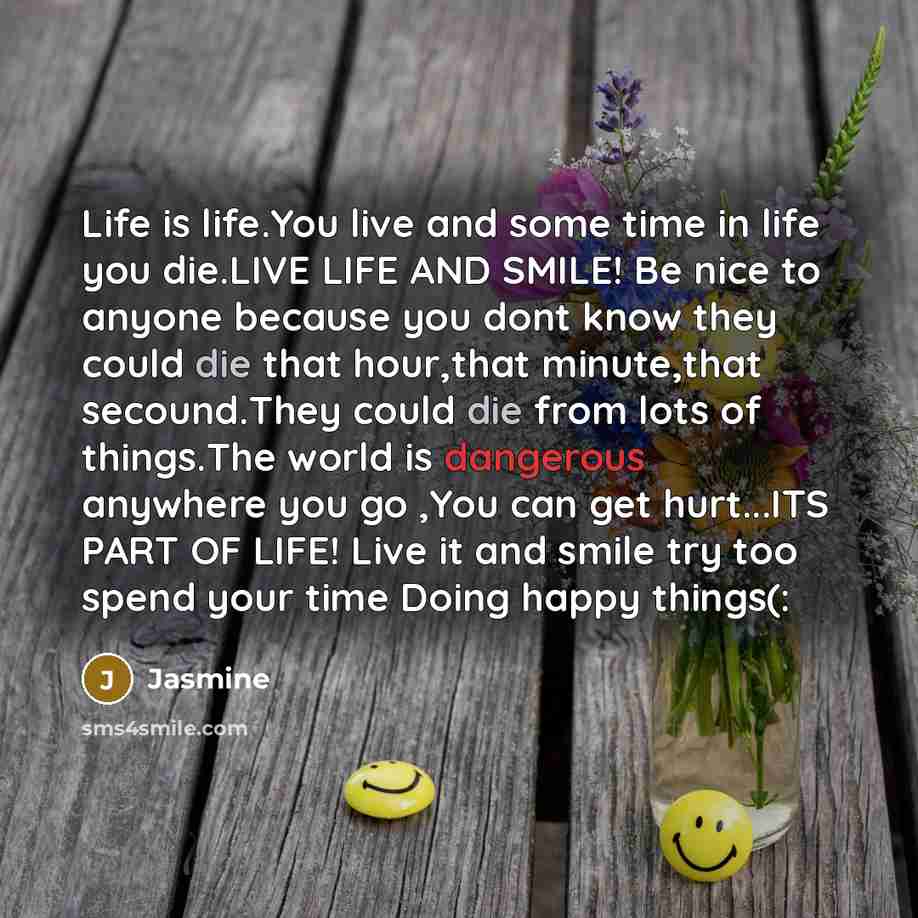 “Life is life.You live and some time in life you…” quote by Jasmine