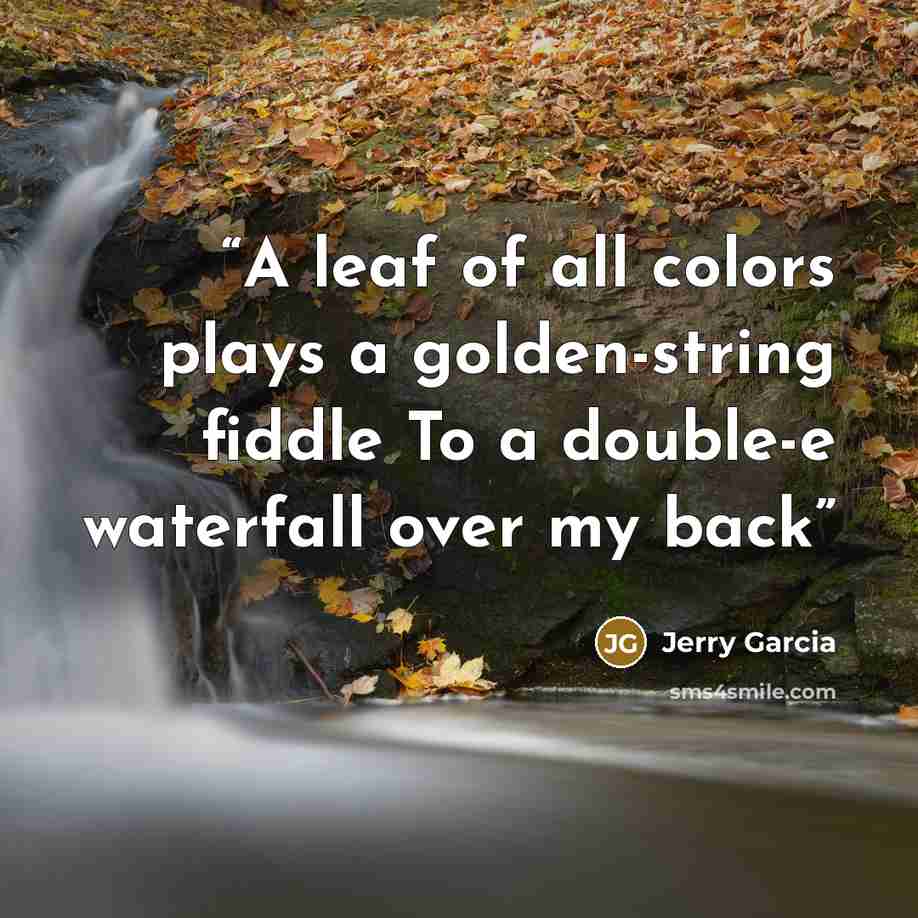 “A leaf of all colors plays a golden-string fiddle To a double-e waterfall over my back” quote by Jerry Garcia