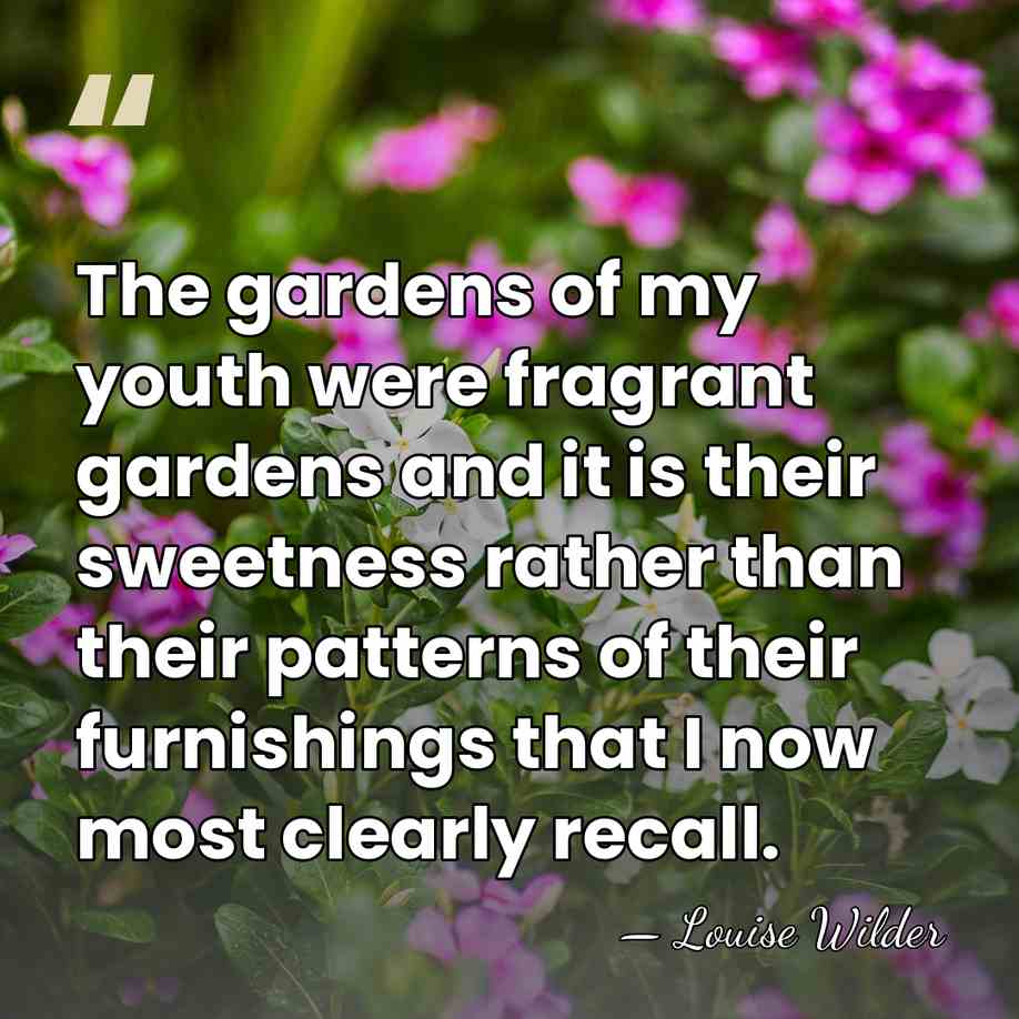 The gardens of my youth were fragrant gardens and it is their&hellip; - Louise Wilder