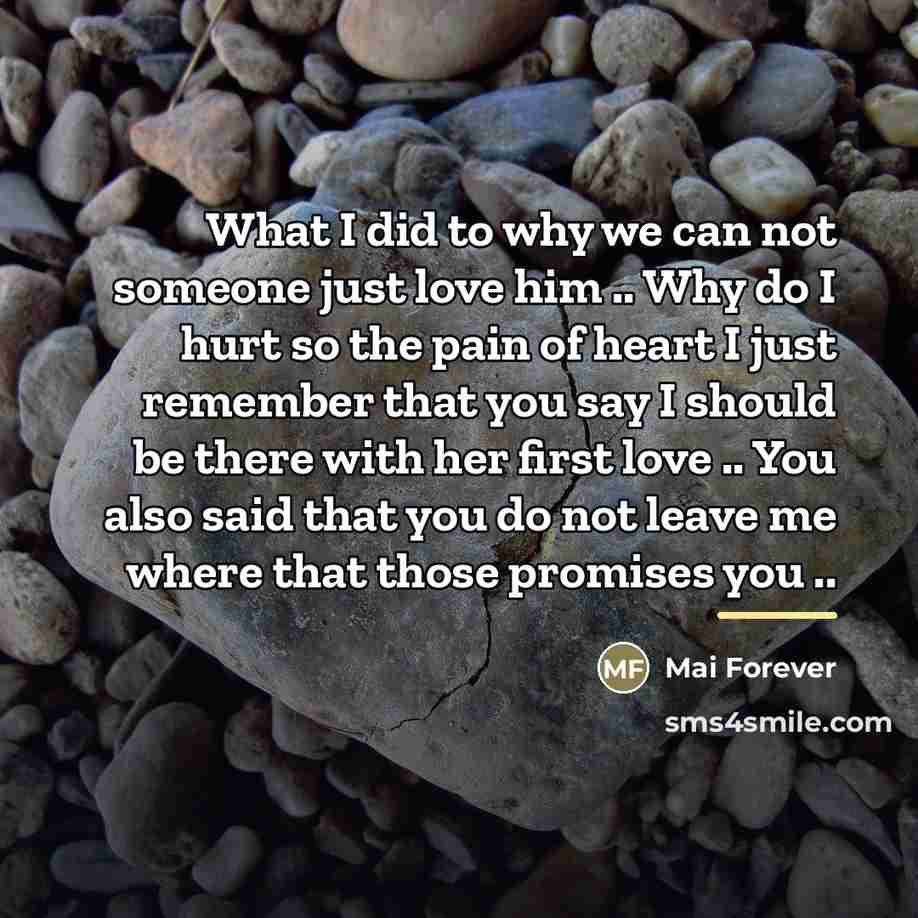 “What I did to why we can not someone just…” quote by Mai Forever