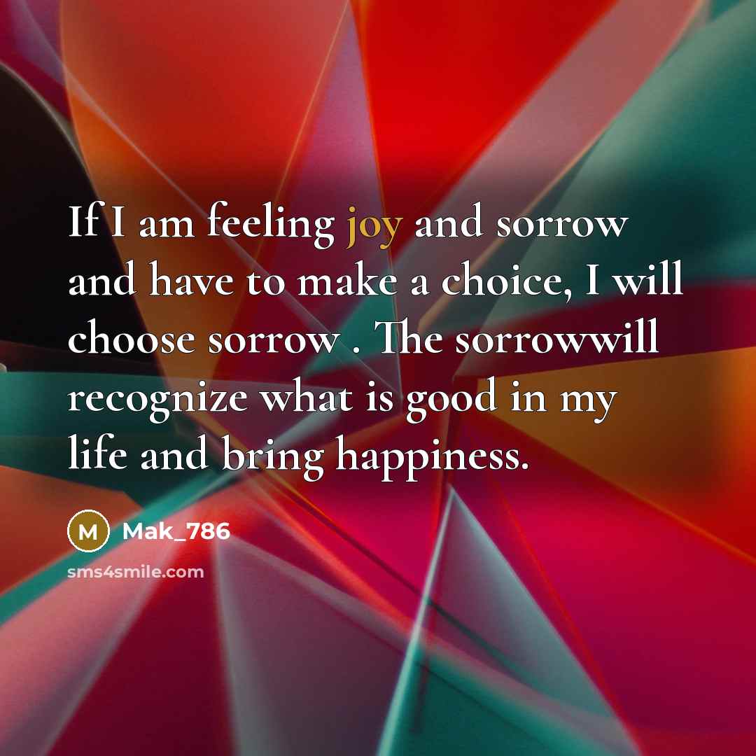 “If I am feeling joy and sorrow and have to…” quote by Mak_786