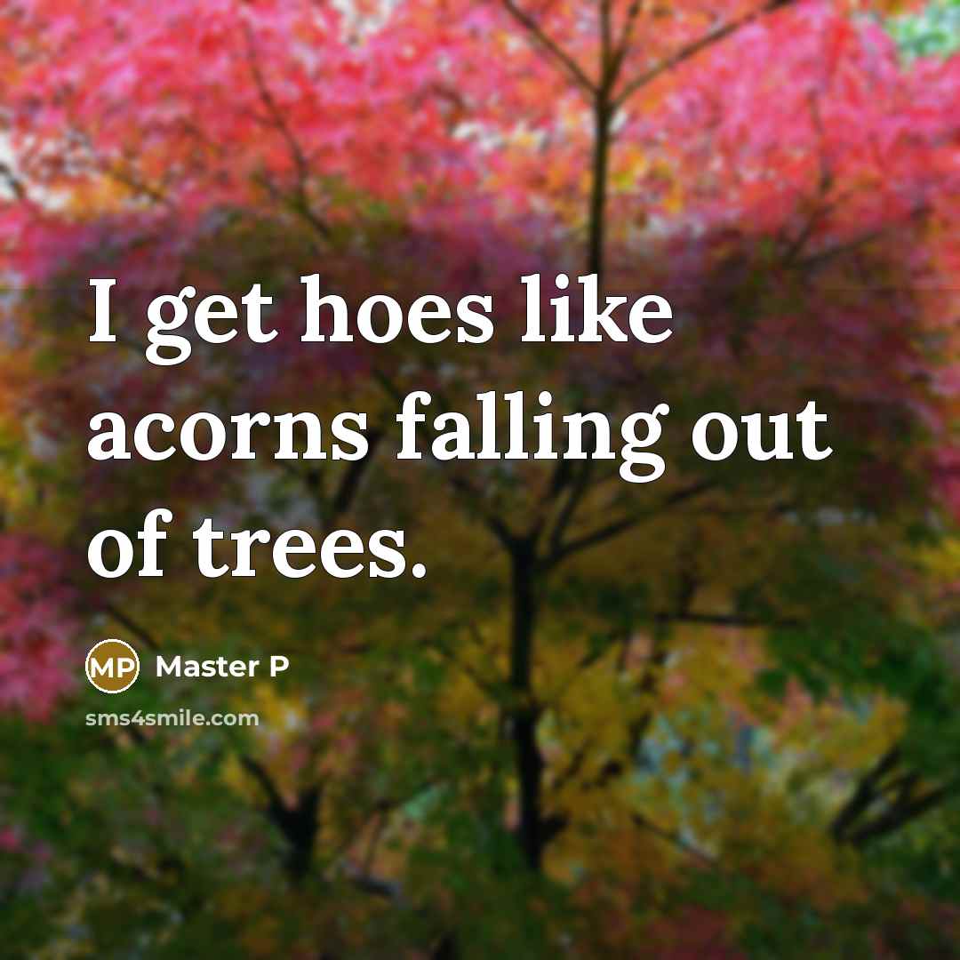 “I get hoes like acorns falling out of trees.…” quote by Master P