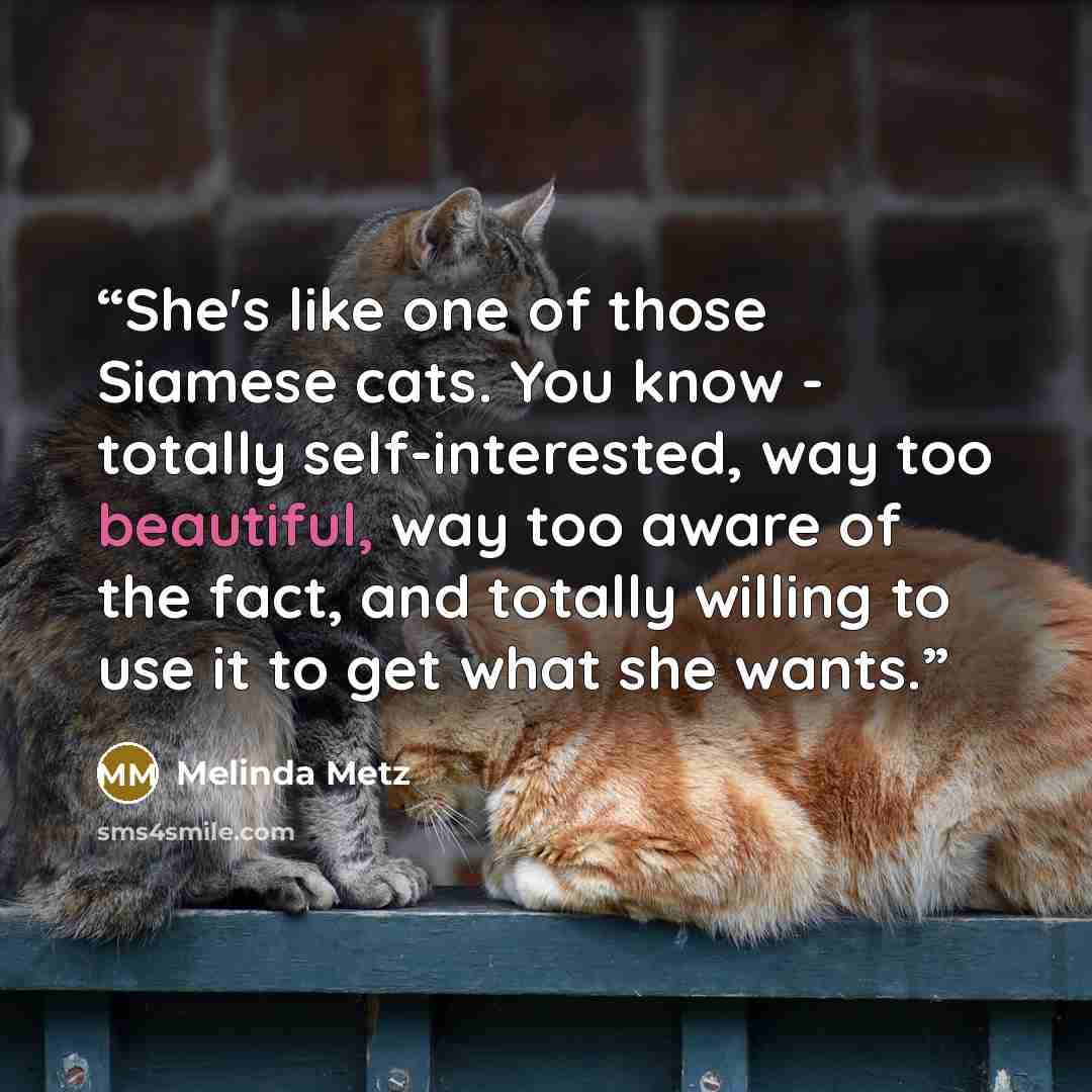 “She's like one of those Siamese cats. You know - totally self-interested, way too beautiful, way too aware of the fact, and totally willing to use it to get what she wants.” quote by Melinda Metz