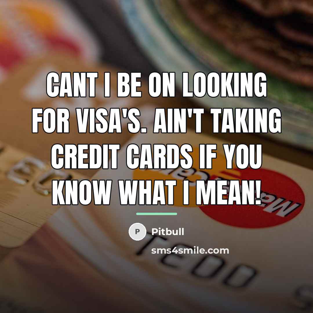 “Cant I be on looking for visa's. Ain't taking credit…” quote by Pitbull