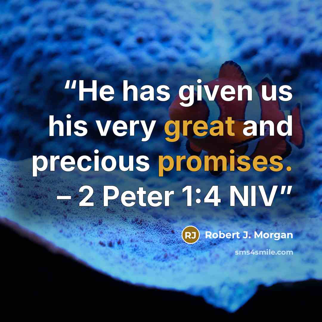 “He has given us his very great and precious promises. – 2 Peter 1:4 NIV” quote by Robert J. Morgan
