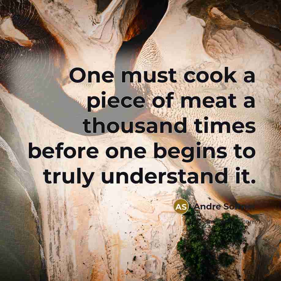 “One must cook a piece of meat a thousand times…” quote by Andre Soltner
