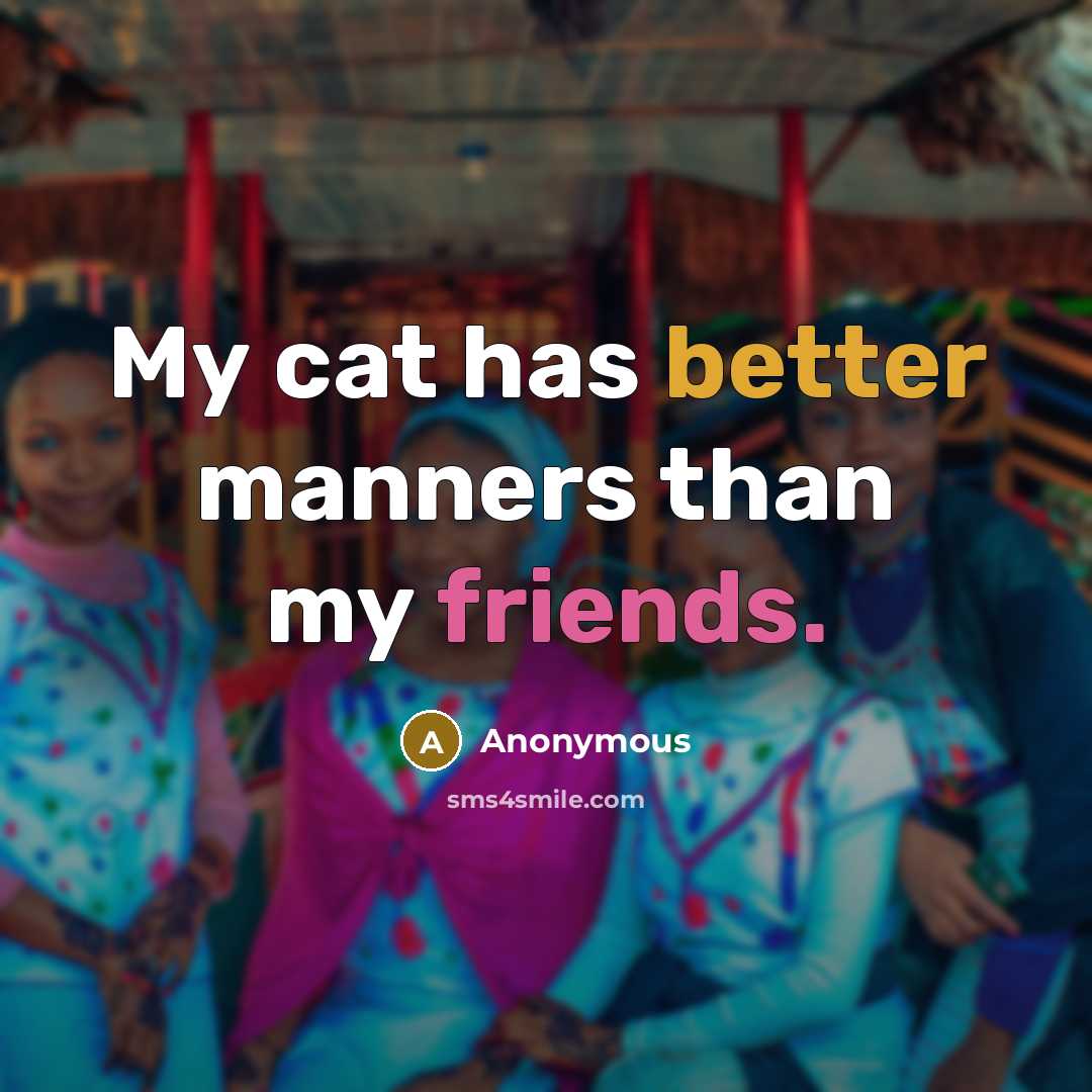 “My cat has better manners than my friends.” quote by Anonymous