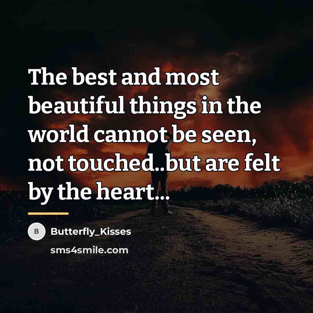 “The best and most beautiful things in the world cannot…” quote by Butterfly_Kisses