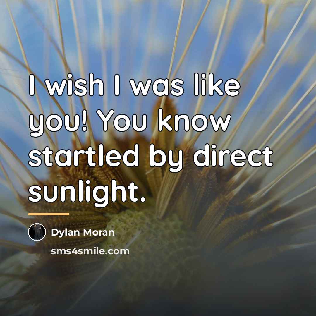 “I wish I was like you! You know startled by…” quote by Dylan Moran