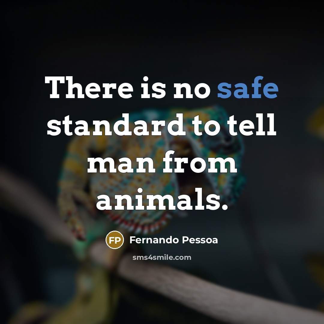 “There is no safe standard to tell man from animals.…” quote by Fernando Pessoa