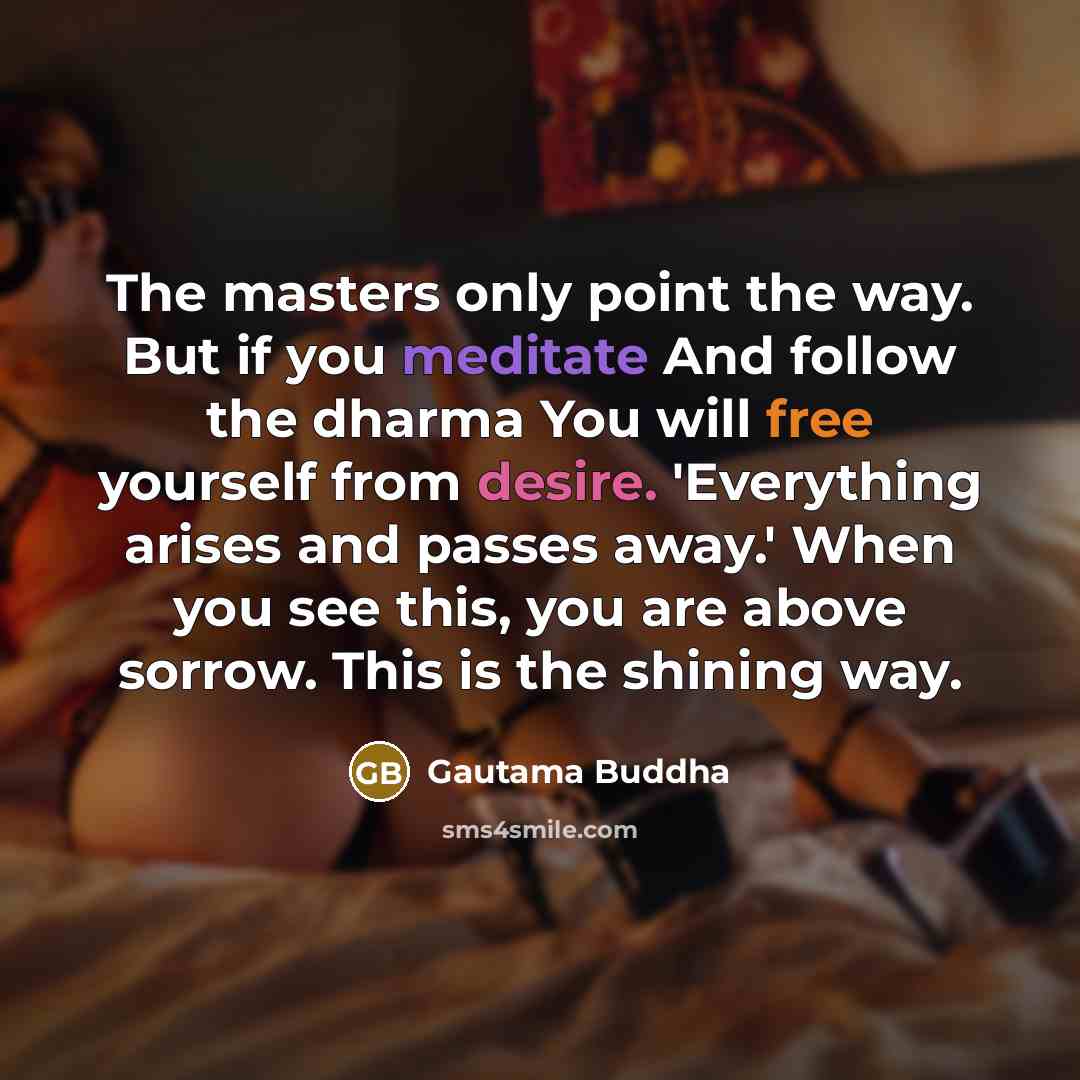 “The masters only point the way. But if you meditate…” quote by Gautama Buddha