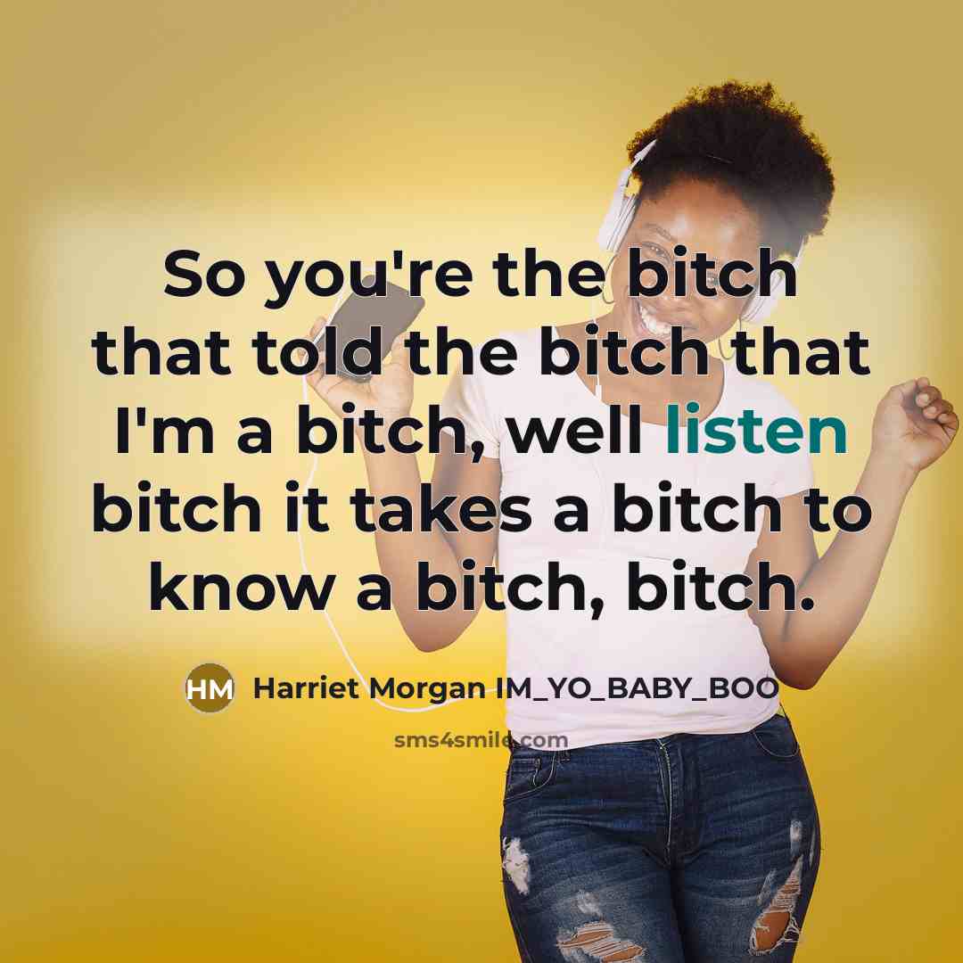 “So you're the bitch that told the bitch that I'm a bitch, well listen bitch it takes a bitch to know a bitch, bitch.” quote by Harriet Morgan IM_YO_BABY_BOO