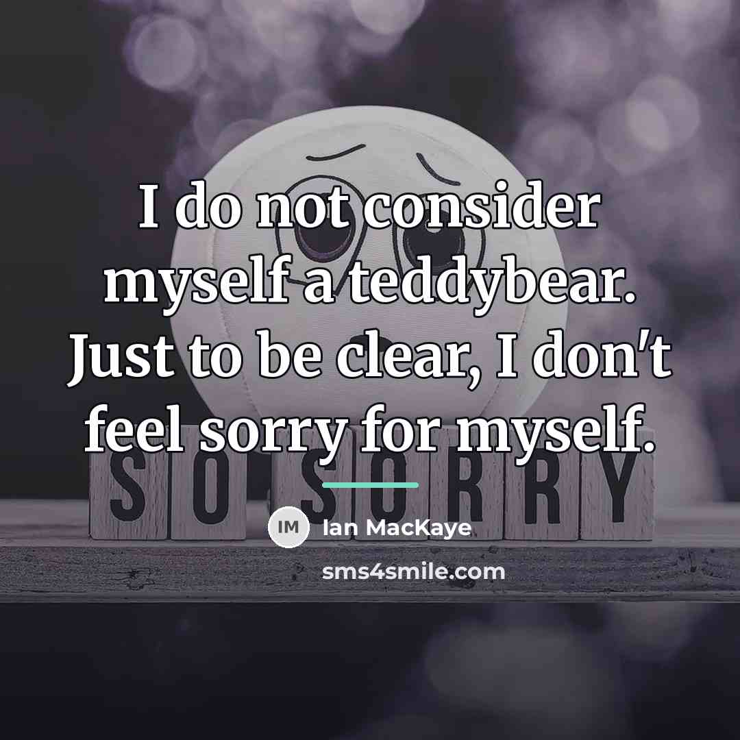 “I do not consider myself a teddybear. Just to be…” quote by Ian MacKaye