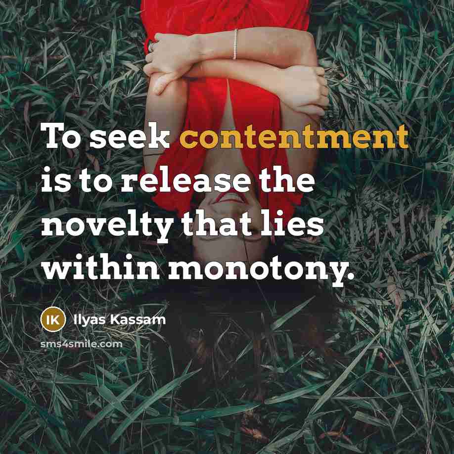 “To seek contentment is to release the novelty that lies…” quote by Ilyas Kassam