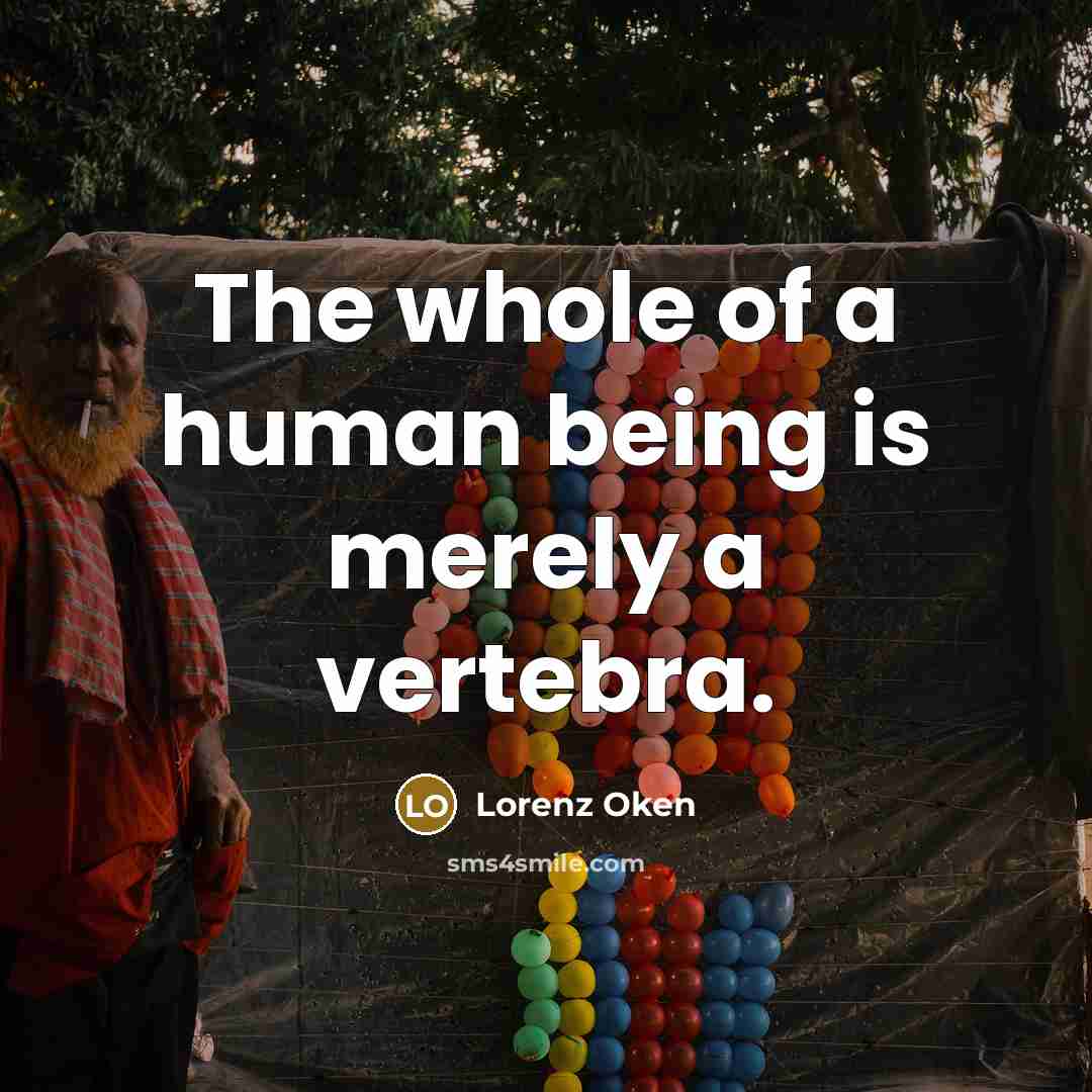 “The whole of a human being is merely a vertebra.…” quote by Lorenz Oken