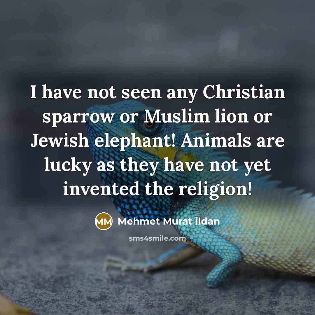 “I have not seen any Christian sparrow or Muslim lion…” quote by Mehmet Murat Ildan