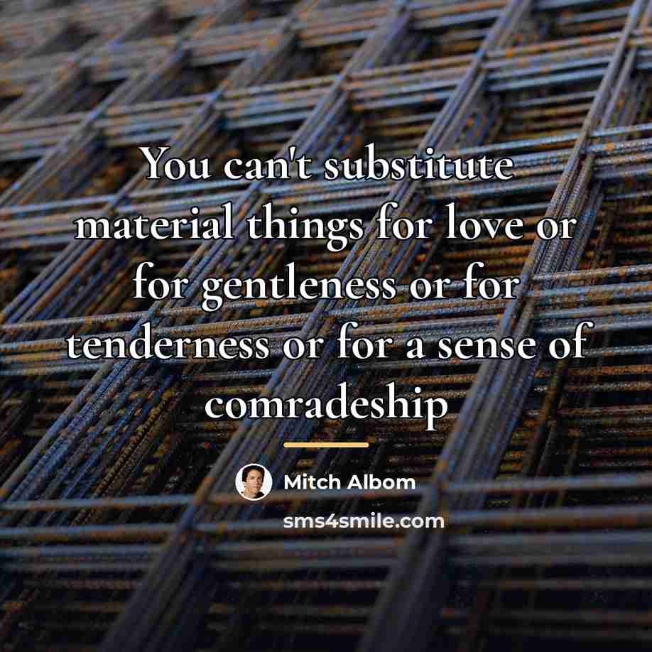 “You can't substitute material things for love or for gentleness…” quote by Mitch Albom