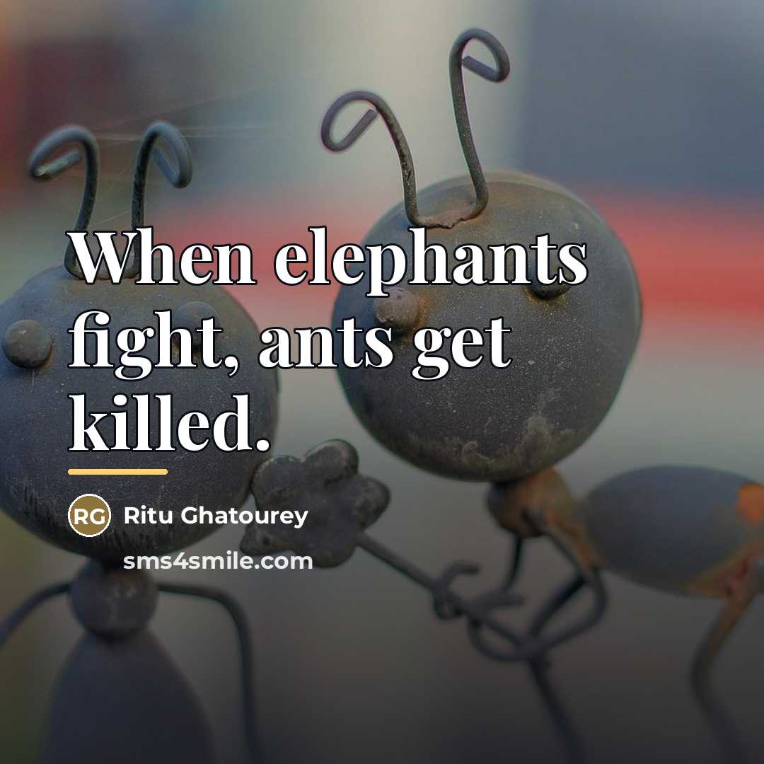 “When elephants fight, ants get killed.…” quote by Ritu Ghatourey