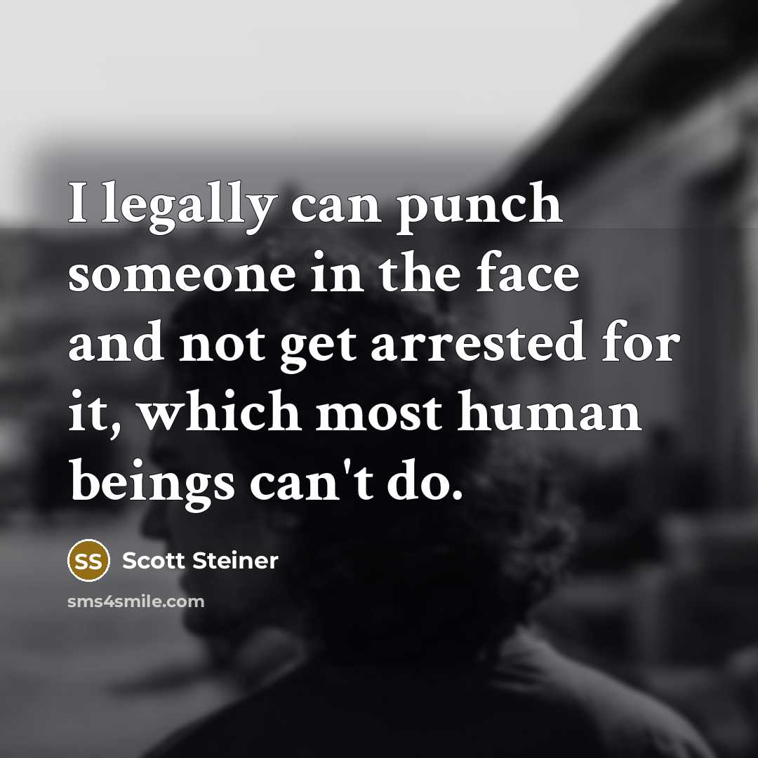 “I legally can punch someone in the face and not…” quote by Scott Steiner